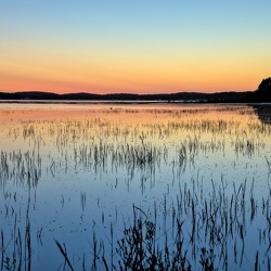 Bassin d'Arcachon