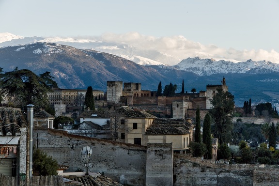 Grenade - Siera Nevada