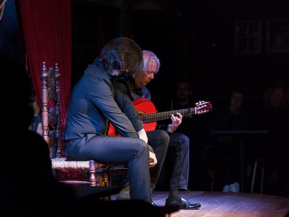 Flamenco - Jardines de Zoraya à Grenade